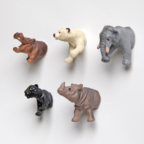 Mini-Magnet-Set "Kleine Wildtiere"