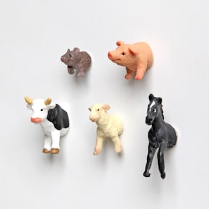 Mini-Magnet-Set Kleine Farmtiere 5er-Set