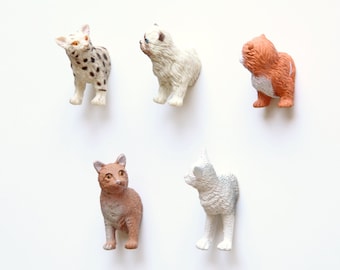 Fridge Magnet Set "Cats"