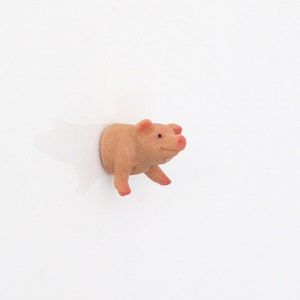 Mini-Magnet-Set Kleine Farmtiere Schwein