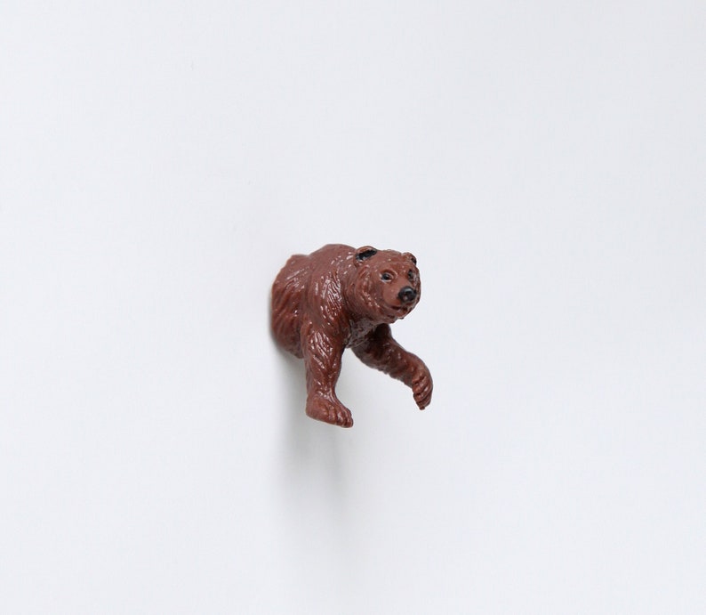 Mini-Magnet Kleiner Braunbär Braunbär Vorderteil
