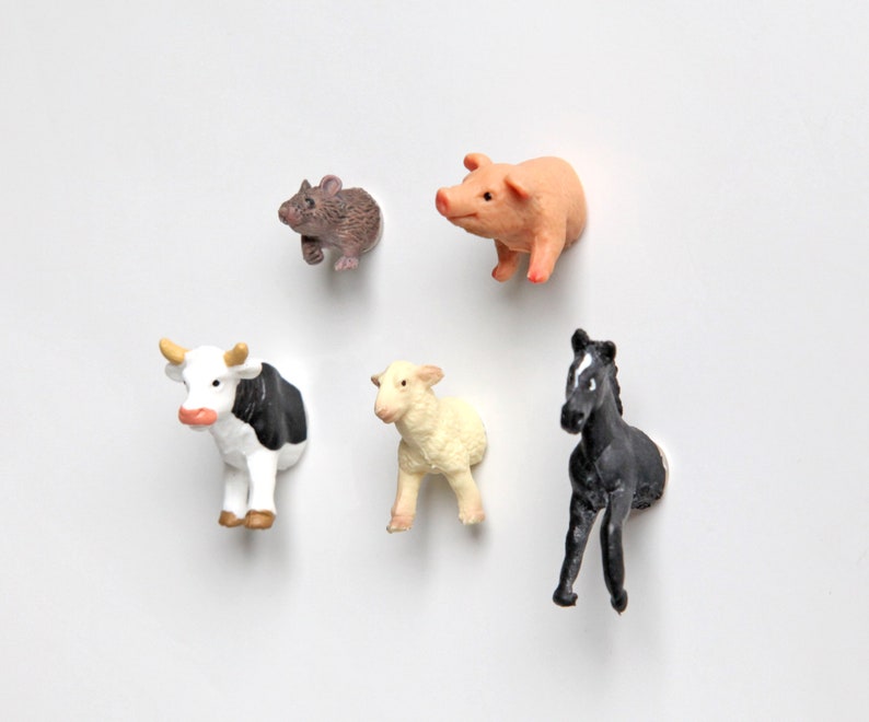 Mini-Magnet-Set Kleine Farmtiere Bild 1