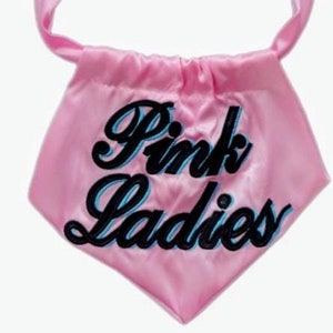 Dog pink ladies jacket deals