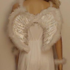 Christmas Santa-Con Original Adult Angel Costume Dress