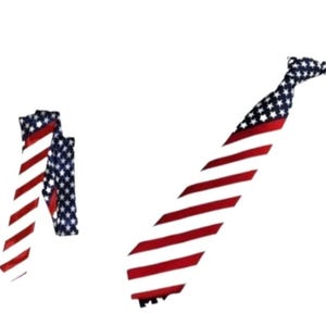 adult red, white and blue Fourth of July patriotic Uncle Sam American flag neck tie