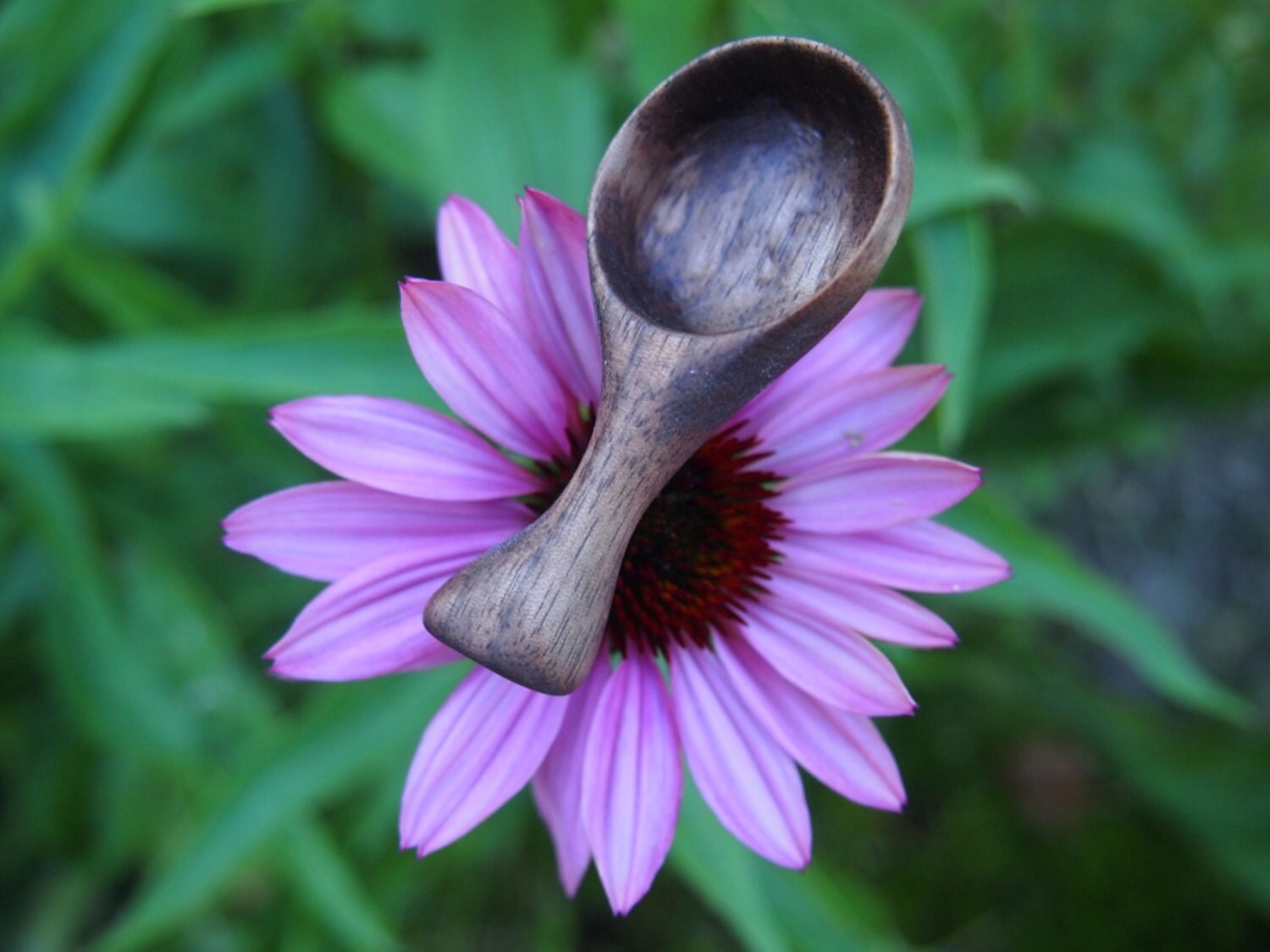 Thumb Spoon / Spice spoon style #5 / wooden spoons / small spoon/ han…