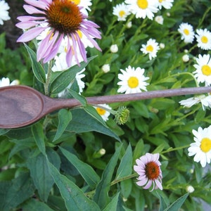 Cooking Spoon style#2 / hand carved spoons / wood spoon