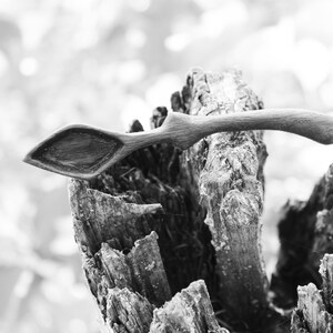 Mini spice spoon style #5 / gemspoon