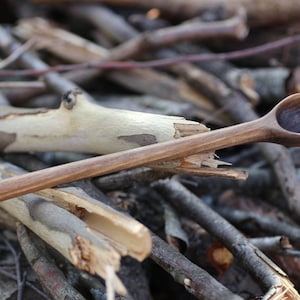 May include: A wooden spoon with a dark brown finish, resting on a pile of twigs and branches.