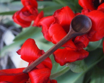 Wood spoon / Spice Spoon Style #2 / Hand carved wood spoon/wooden spoons