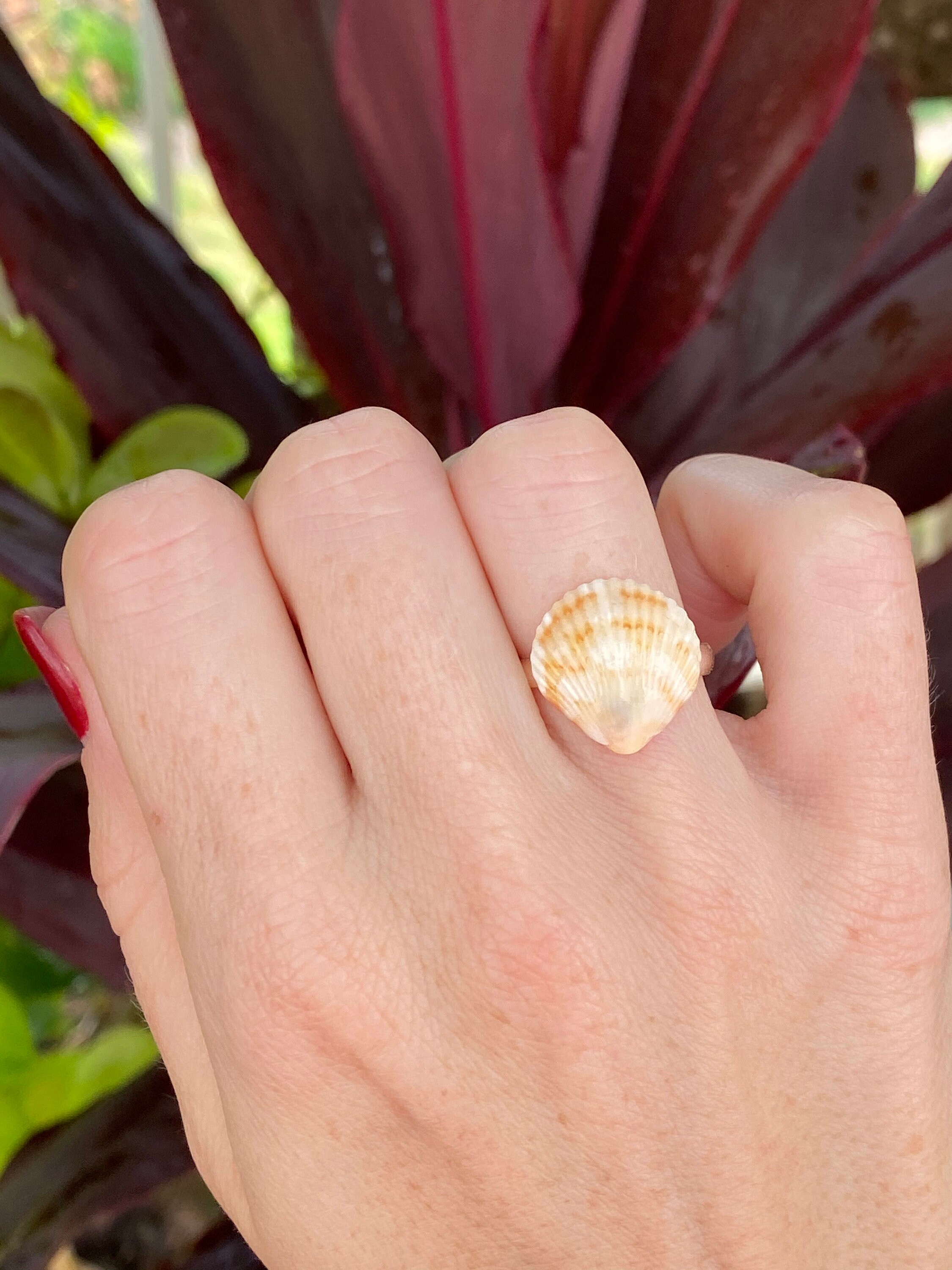 Calico scallop seashell ring