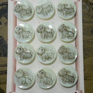 May include: A card with twelve white, round buttons featuring a raised image of a dog. The buttons are arranged in three rows of four. The card has a red and white border and the text "MADE IN CZECHOSLOVAKIA".