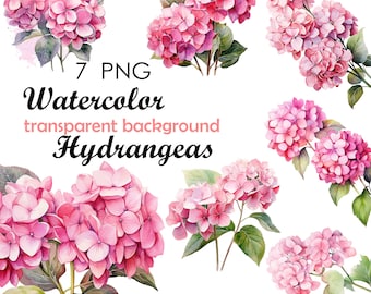 7 Hydrangea PNG JPG Clipart Hydrangea Watercolor Clipart, Pink Floral Hyndragea Png, Hydrangea bouquet, transparent, flower, commercial use