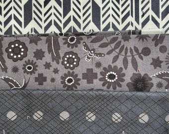 Alison Glass OOP Neutrals - 10 Fat Quarter Bundle - Gray and White Low Volume