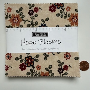 Może przedstawiać: Stos kwadratów materiału z kwiatowym wzorem w odcieniach pomarańczowego, bordowego i granatowego na beżowym tle. Tkanina jest oznaczona jako "Hope Blooms" by Kansas Troubles Quilters. Na tkaninie umieszczono linijkę. Obok tkaniny znajduje się moneta.