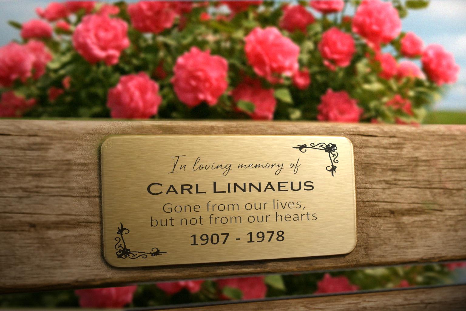 Memorial Plaque for Benches, Grave Markers, Photos, Displays, Trees, Pets Etc