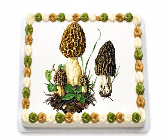 Morel Mushroom Botanical Edible Cake Topper, Woodland Birthday Frosting Sheet Image ~ D20151