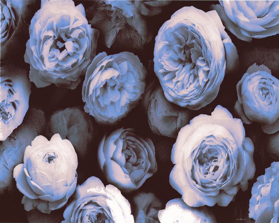 Blue Roses Birthday ~ Edible 2D Fondant Birthday Cake/Cupcake Topper ~ D24179
