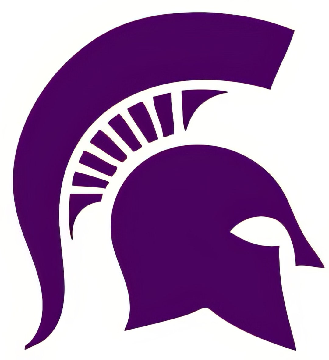 Purple Spartan Mascot Birthday ~ Edible 2D Fondant Birthday Cake ...