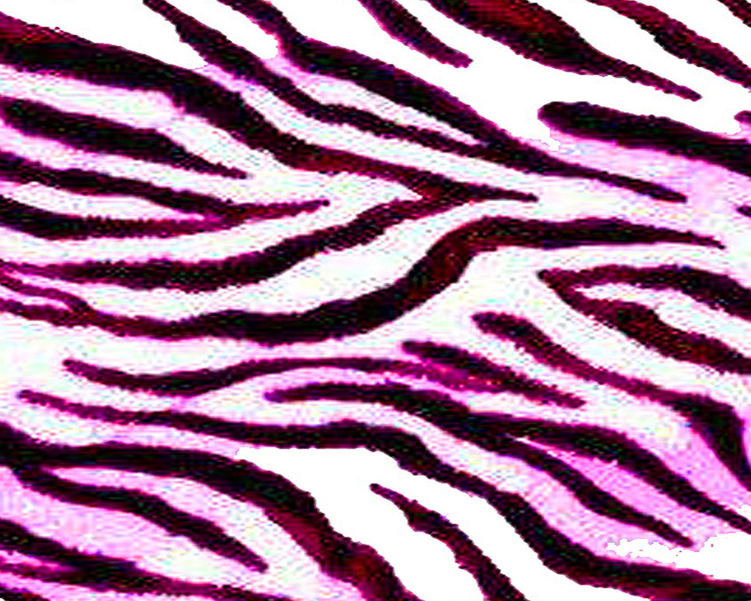 Pink Zebra Print Background Birthday Edible 2D Fondant