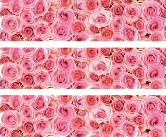 Pink Roses - Side Strips ~ Edible 2D Fondant Birthday Cake Side Toppers ~ D20677