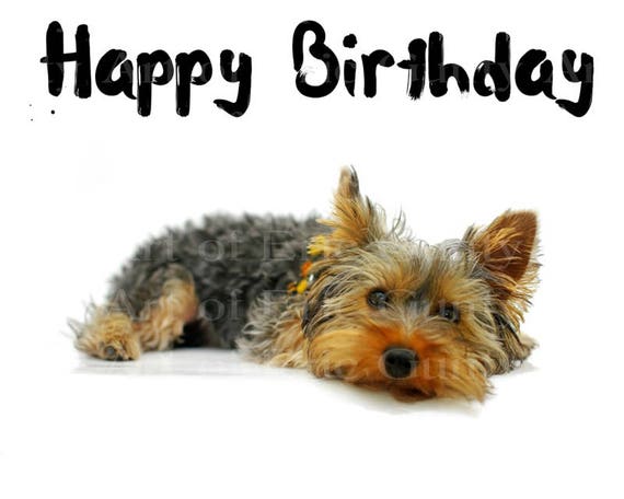 Yorkie Puppy Dog Happy Birthday ~ Edible 2D Fondant Birthday Cake/Cupcake Topper ~ D22879