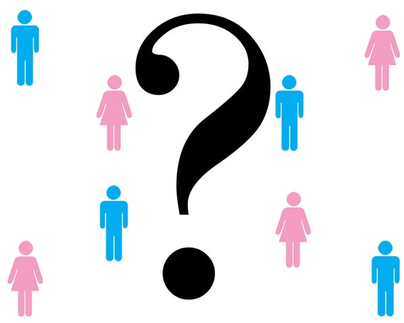 She or He? Gender Reveal Party Baby Shower Birthday ~ Edible 2D Fondant Birthday Cake/Cupcake Topper ~ D22092