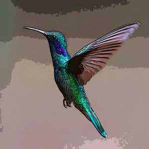 Hummingbird Birthday ~ Edible 2D Fondant Birthday Cake/Cupcake Topper ~ D22761