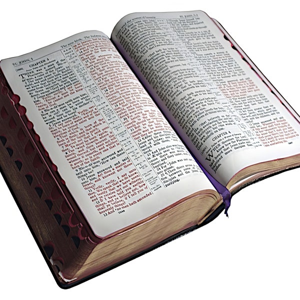 Holy Bible Christian Birthday ~ Edible 2D Fondant Birthday Cake/Cupcake Topper ~ D22974