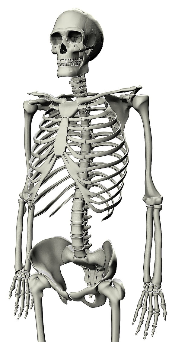 Skeleton Halloween ~ Edible 2D Fondant Birthday Cake/Cupcake Topper ~ D5859