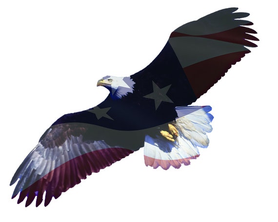 Flying American Bald Eagle ~ Edible 2D Fondant Birthday Cake/Cupcake Topper ~ D20896