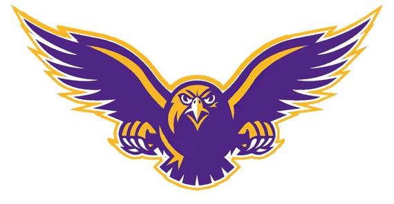 Purple & Gold Hawk Mascot Birthday ~ Edible 2D Fondant Birthday Cake/Cupcake Topper ~ D22733