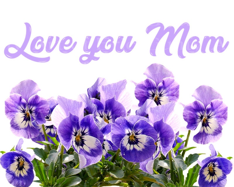 I Love You Mom Flowers Mothers Day Edible 2D Fondant Birthday Cake