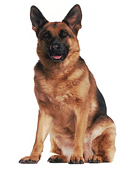 German Shepherd Dog Birthday ~ Edible 2D Fondant Birthday Cake/Cupcake Topper ~ D4912