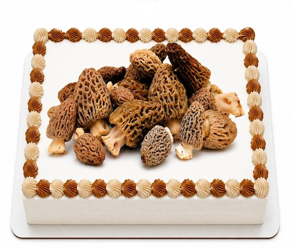 Morel Mushroom Harvest Edible Cake Topper, Foraging Nature Birthday Frosting Sheet Image, Woodland ~ D20150