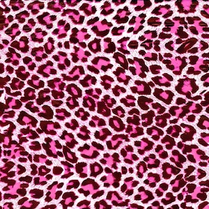 Pink Cheetah Print ~ Edible 2D Fondant Birthday Cake/Cupcake Topper ~ D10074