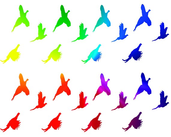 Rainbow Pheasant Hunting - Birthday Background - Side Strips ~ Edible 2D Fondant Birthday Cake Side Toppers ~ D22631