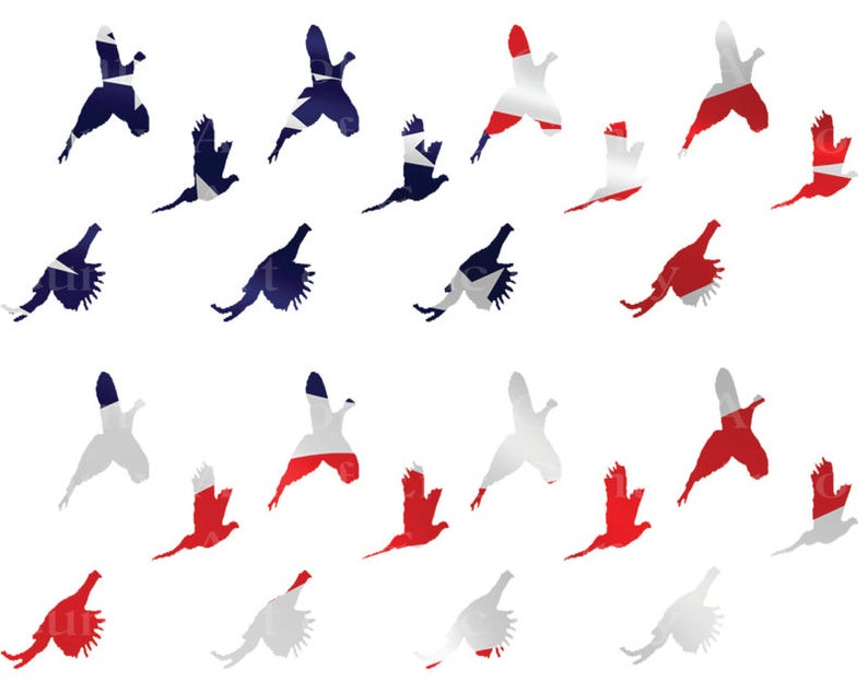 Side Strips ~ Edible 2D Fondant Birthday Cake Side Toppers ~ D22632 Patriotic Pheasant Hunting Birthday Background