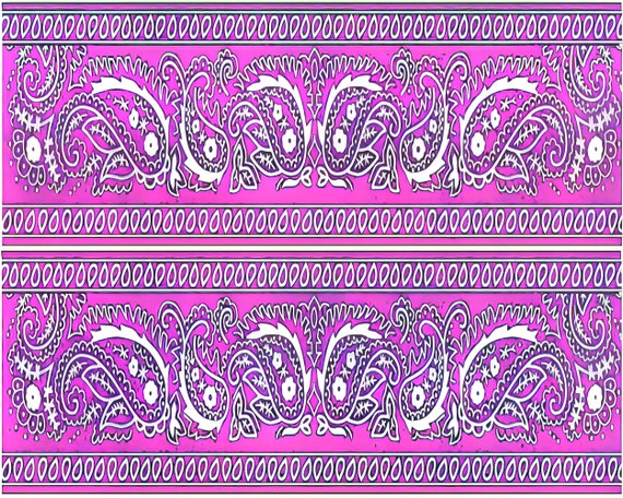 Pink Paisley Birthday - Side Strips ~ Edible 2D Fondant Birthday Cake Side Toppers ~ D24631