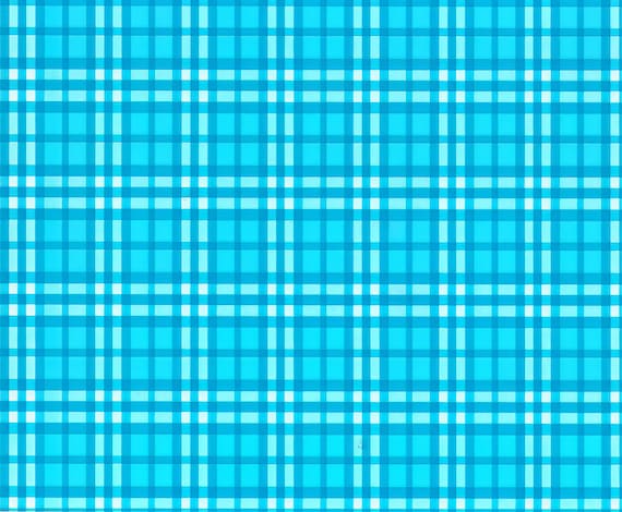 Light Blue Plaid Background Birthday ~ Edible 2D Fondant Birthday Cake/Cupcake Topper ~ D976