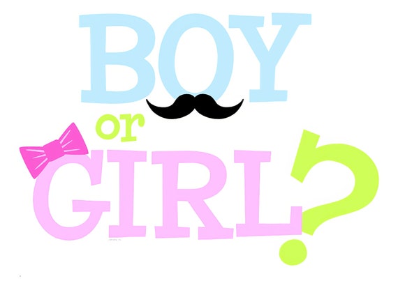 Boy or Girl? Baby Shower ~ Edible 2D Fondant Birthday Cake/Cupcake Topper ~ D455
