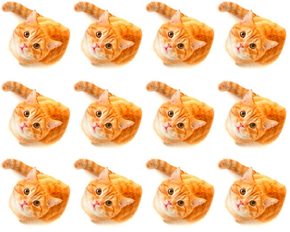 Orange Cats Birthday ~ Edible 2D Fondant Birthday Cake Side Toppers ~ D24054