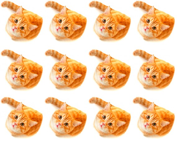 Orange Cats Birthday ~ Edible 2D Fondant Birthday Cake Side Toppers ~ D24054