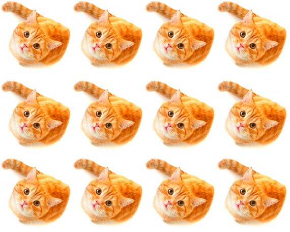 Orange Cats Birthday ~ Edible 2D Fondant Birthday Cake Side Toppers ~ D24054