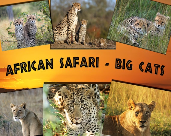 African Safari Big Cats Birthday Topper ~ Edible 2D Fondant Birthday Cake/Cupcake Topper ~ D21891