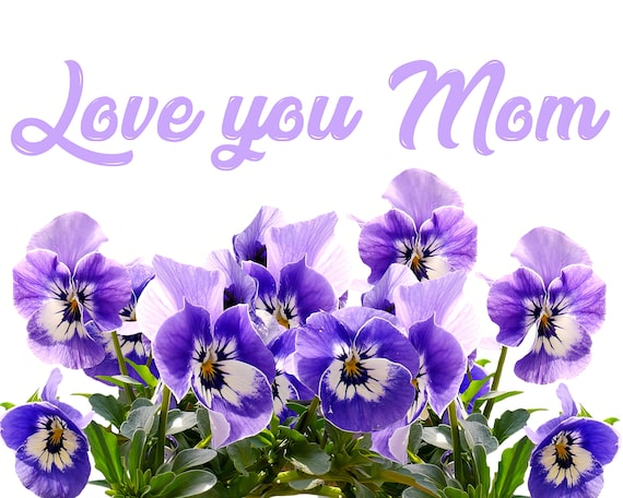 I Love You Mom Flowers Mothers Day ~ Edible 2D Fondant Birthday Cake/Cupcake Topper ~ D24013