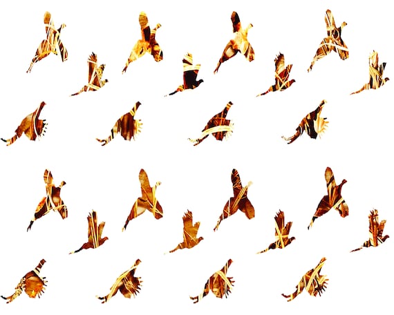 Camo Pheasant Hunting - Birthday Background - Side Strips ~ Edible 2D Fondant Birthday Cake Side Toppers ~ D22633