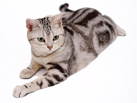 Cat - American Shorthair ~ Edible 2D Fondant Birthday Cake/Cupcake Topper ~ D6439