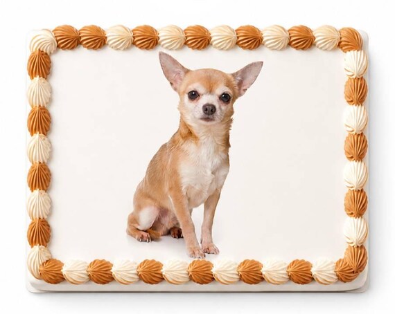 Chihuahua Dog Portrait Edible Cake Topper, Puppy Breed Birthday Frosting Sheet Image, Pet Lover ~ D5411