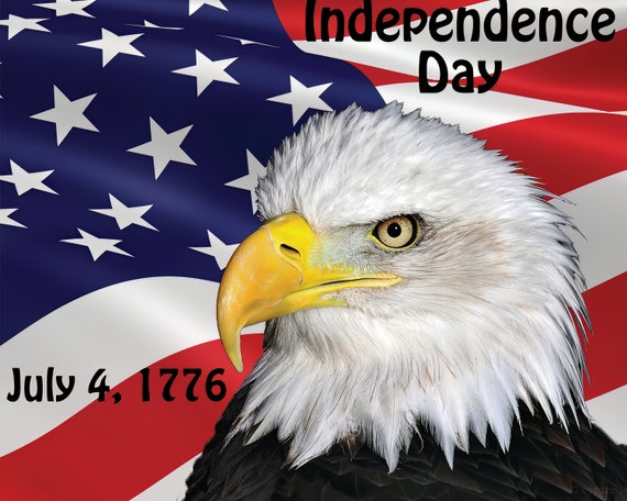 Patriotic Eagle 4th of July 1776 Birthday ~ Edible 2D Fondant Birthday Cake/Cupcake Topper ~ D22995